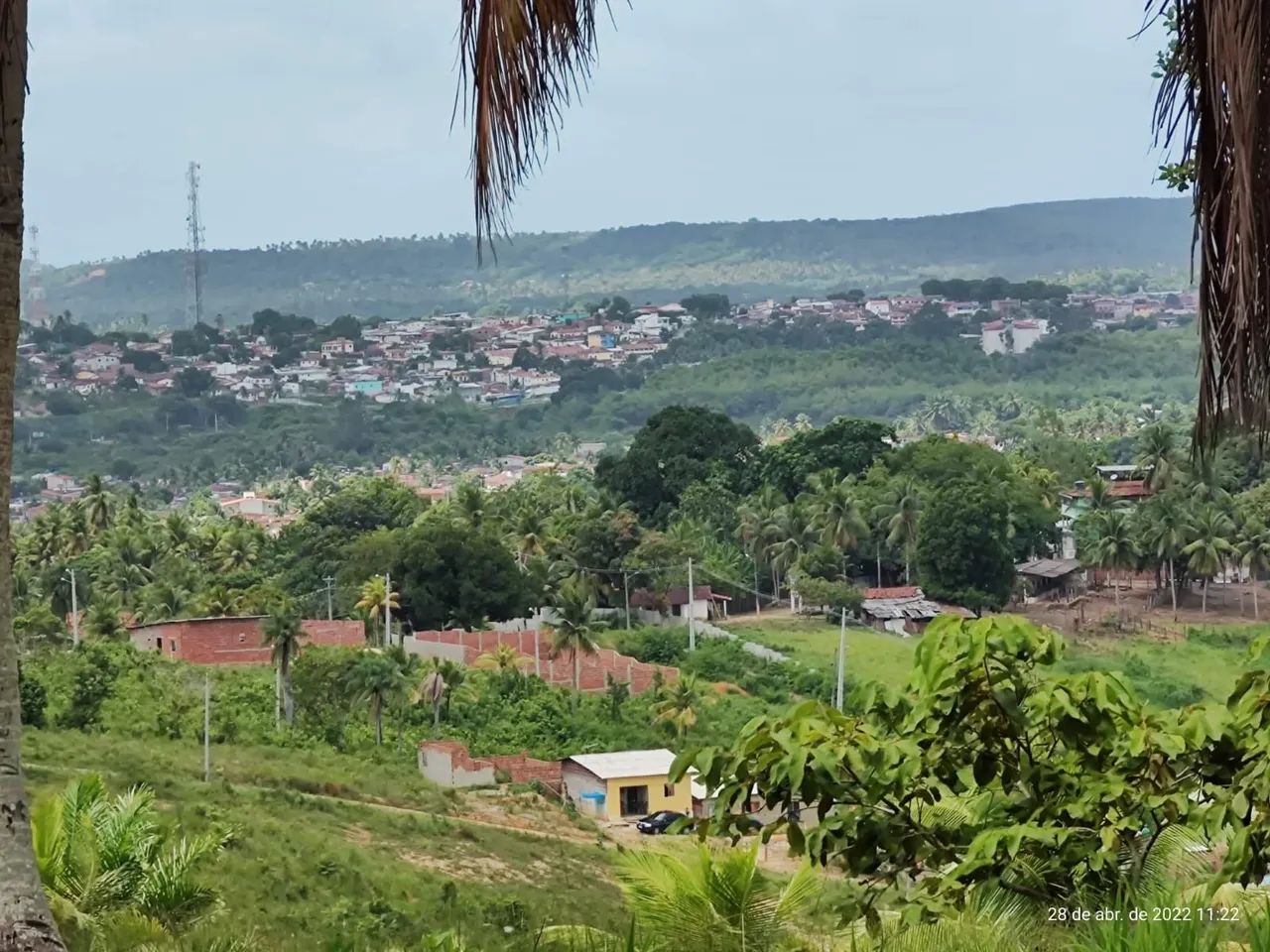 IGARASSU 6ha, com escritura, 200 mil cada Hectare  - Foto 5