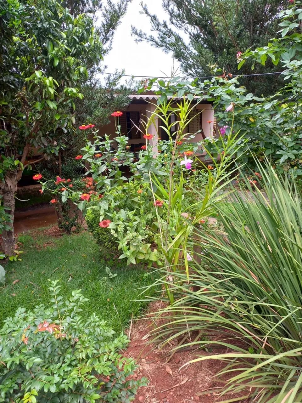 Casa no distrito de Martinesia - Foto 4