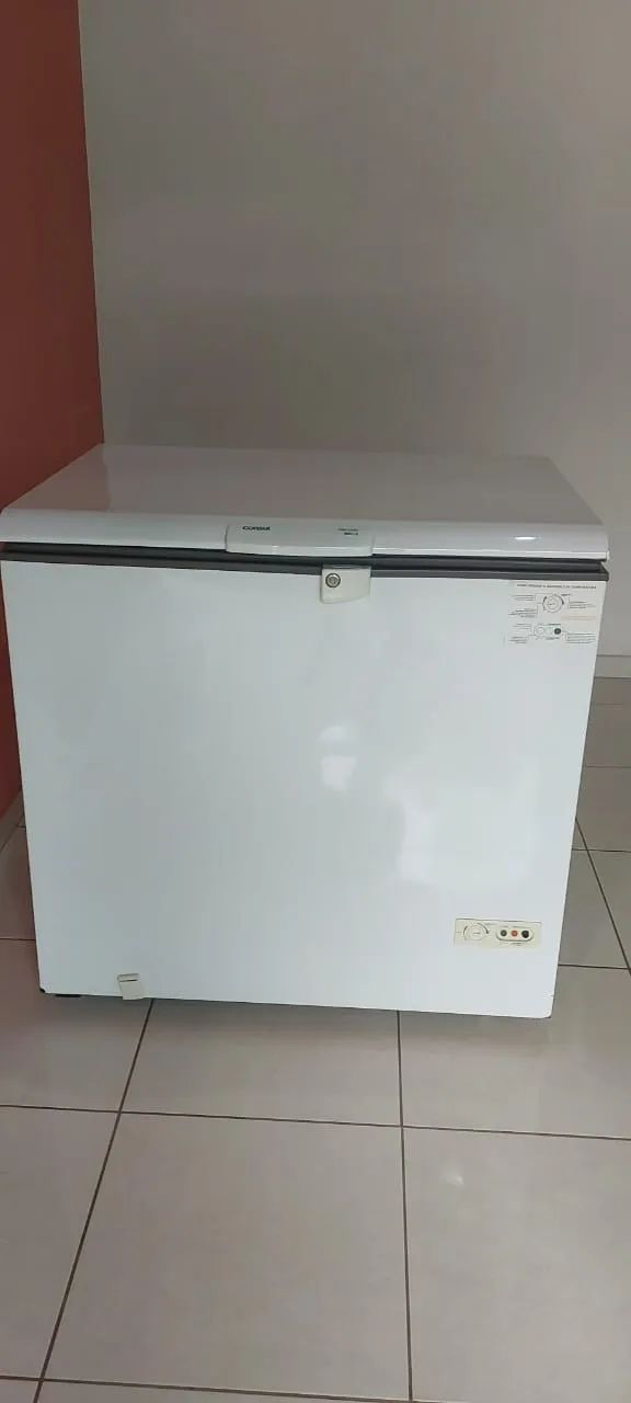FREEZER CONSUL 307 LITROS