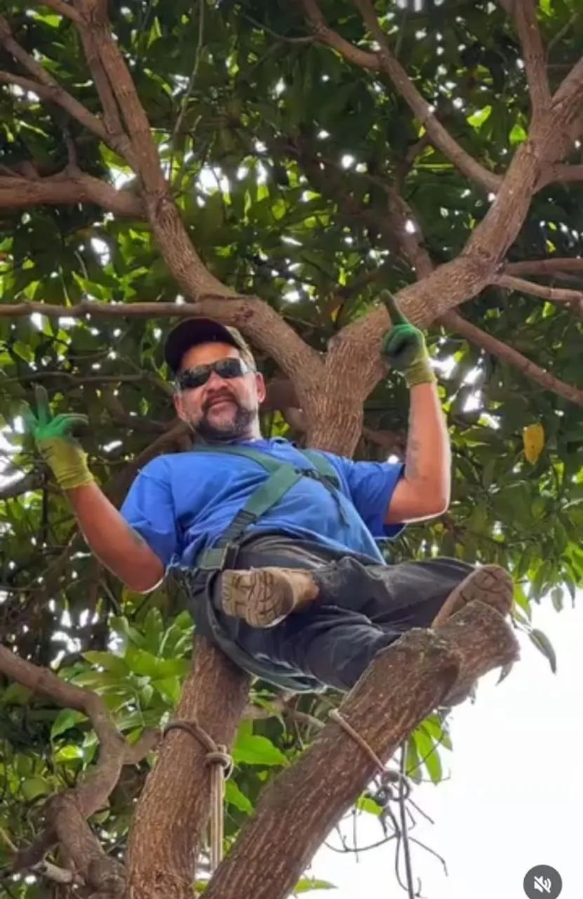 Túlio cortes de árvores  - Foto 4