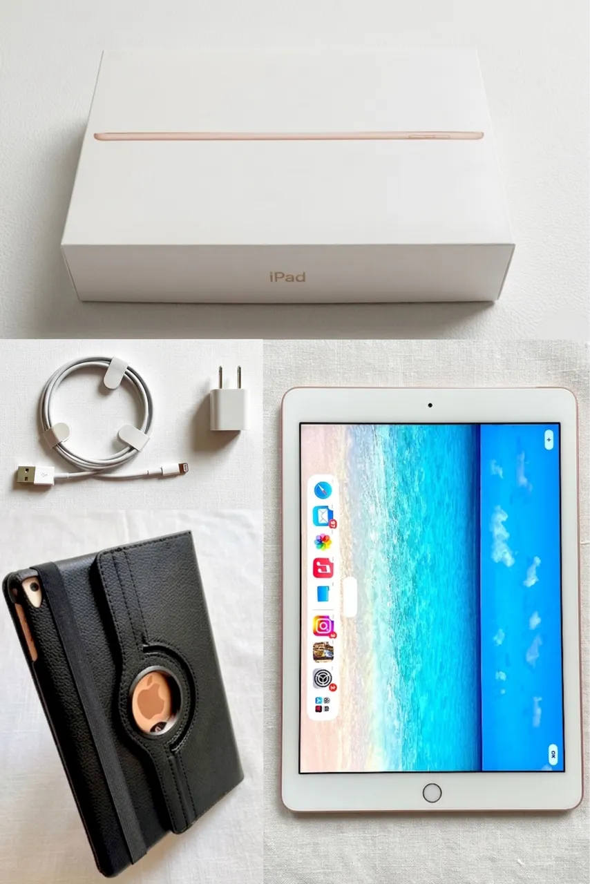 iPad Pro 12,9
