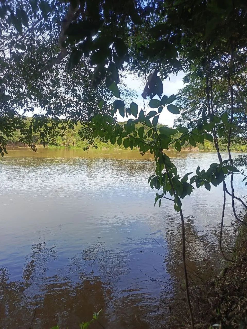 Chácara no Rio São Francisco  - Foto 5