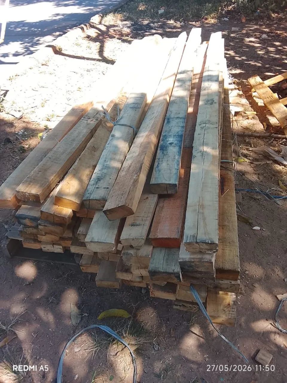 Vigotas 480031022389678081