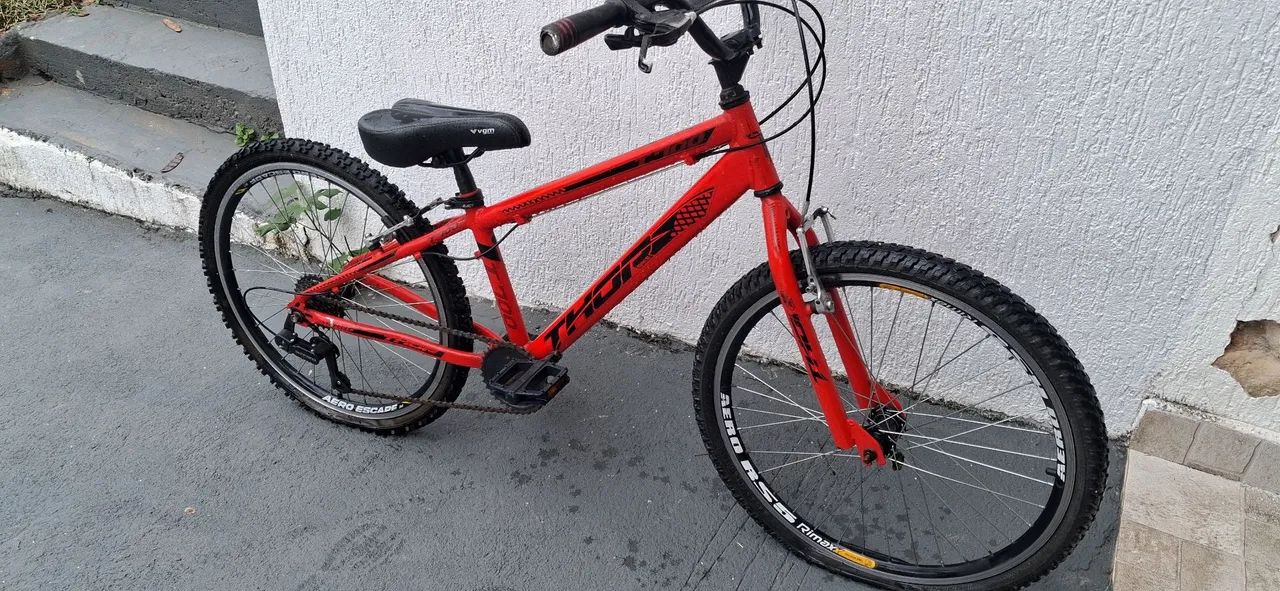 Bicicleta