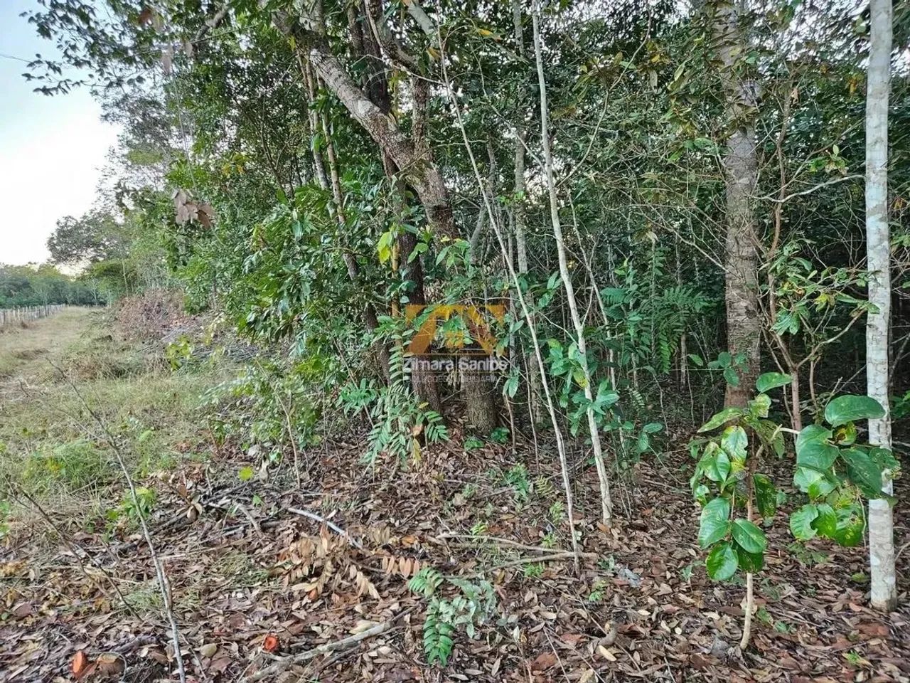 Chácara 2,5 Alqueires - Zona Rural - Próxima a Palmas - Porto Nacional/TO - Foto 4