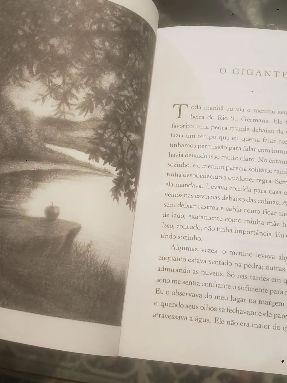 Caleidoscópio - Brian Selznick | SM | Livro Novo - Foto 4