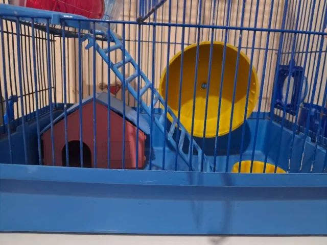 Gaiola hamster