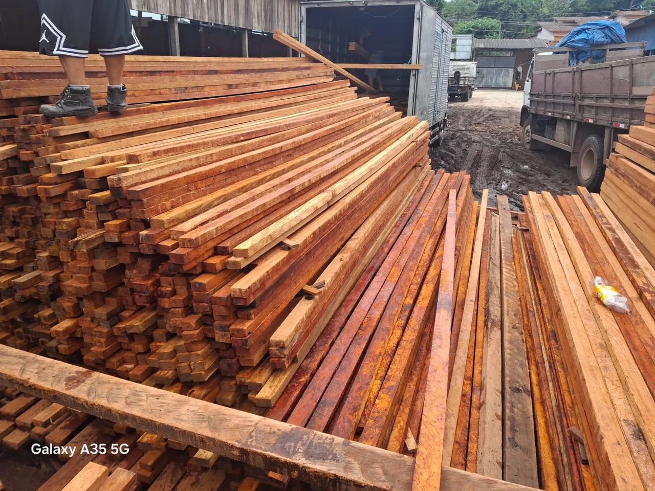 Madeira telhado e forro  - Foto 4