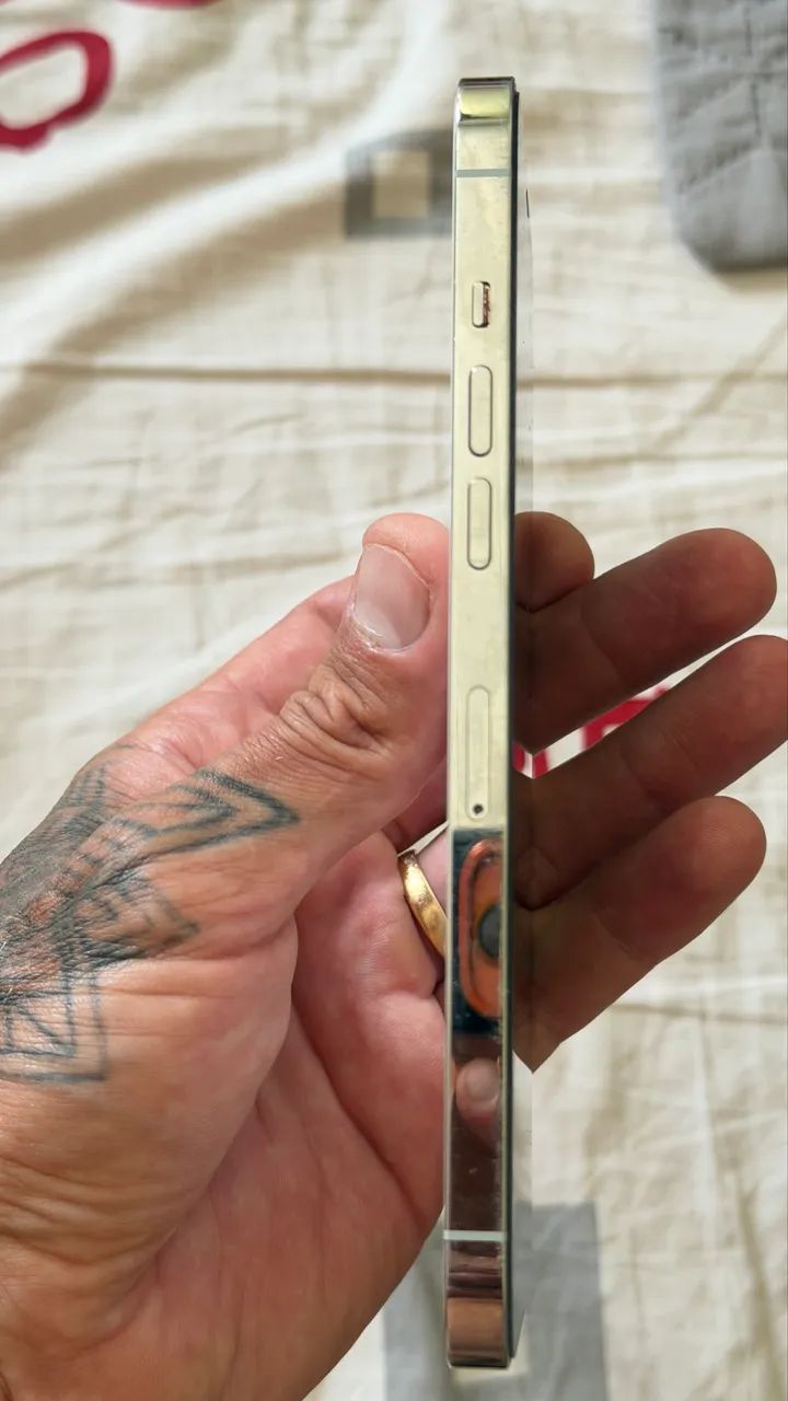 iPhone 12 Pro Max 256