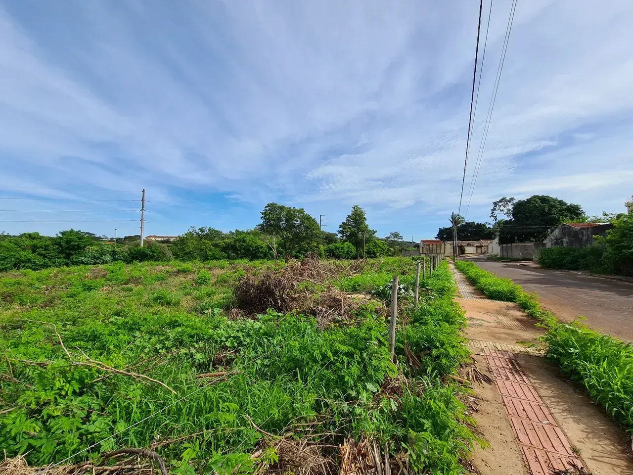 Vendo área comercial 6.162,42m² - Foto 5