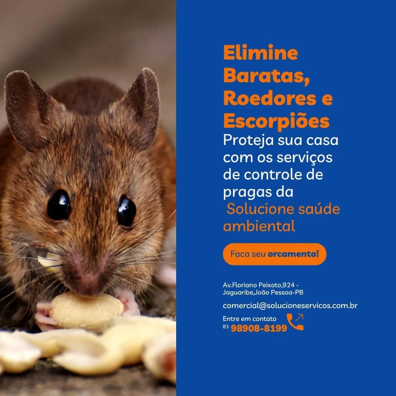 DEDETIZAÇÃO  - Foto 4