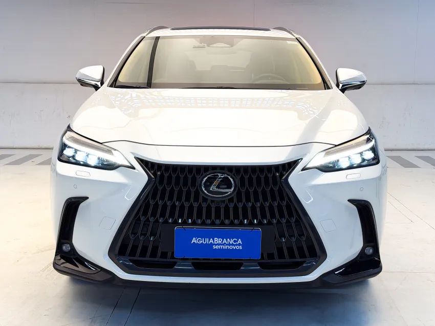 Lexus NX-350h Luxury 2.5 16V Aut. (hybrid), foto 3 de 19