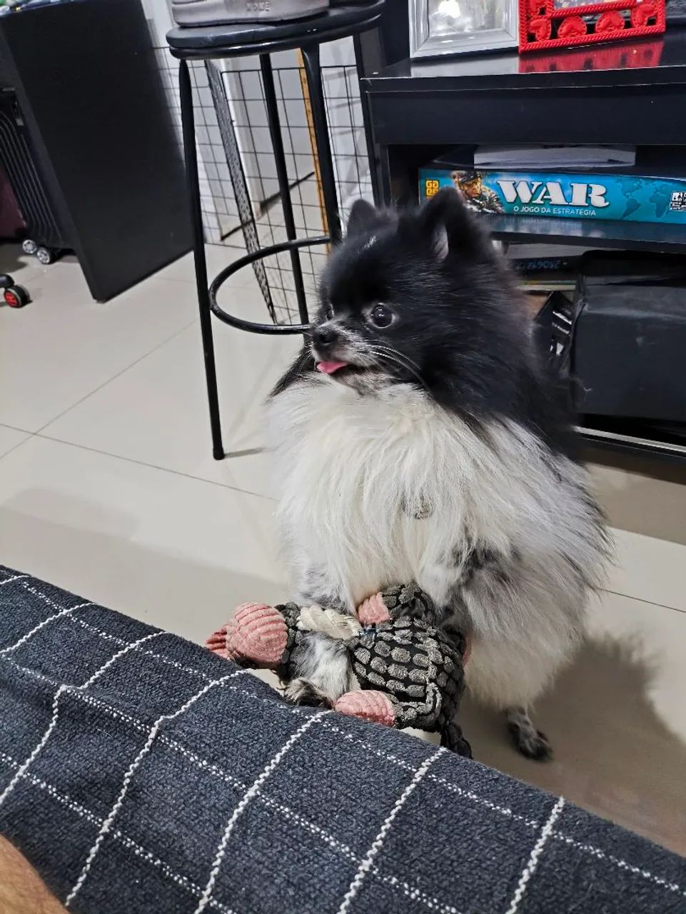 Procura-se uma Namorada pro Jhon Snow 