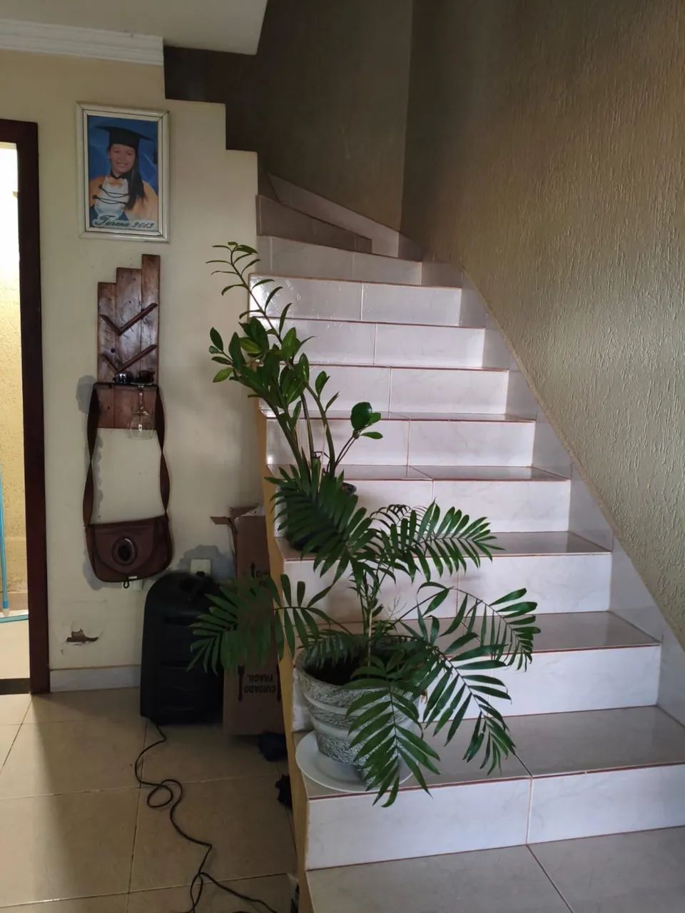 Ágio De Duplex Na Esplanada 2 Próximo À Br 040 Valparaiso  - Foto 4