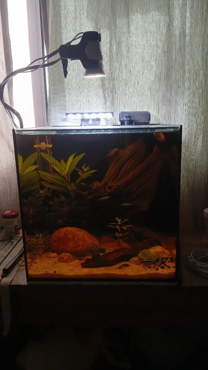Aquario  - Foto 2