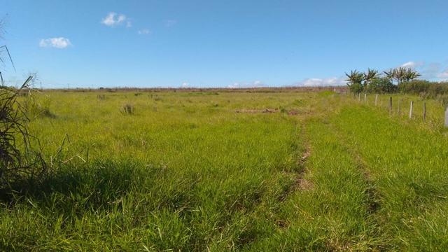 Área plana c/ leve aclive, medindo 23.300m², próx a cidade. Ótimo para industrias.(AR0001) - Foto 11