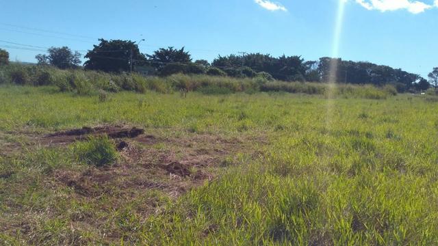 Área plana c/ leve aclive, medindo 23.300m², próx a cidade. Ótimo para industrias.(AR0001) - Foto 7