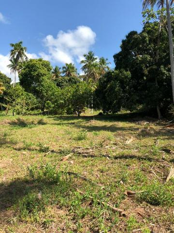 Oportunidade - Área com 6800m² - Porto de Pedras - Na Rota Ecológica de Milagres - Foto 2
