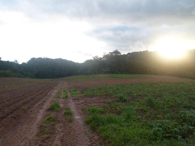 Terreno 1 alqueire e meio - Foto 9