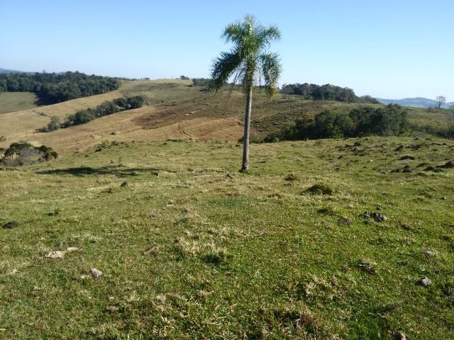 Otima fazendinha - Foto 13