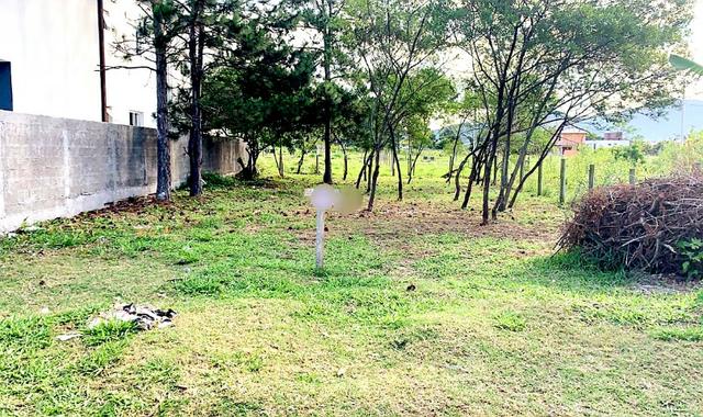 Belo Lote no Campeche à 300 mts. da Av. Pequeno Príncipe