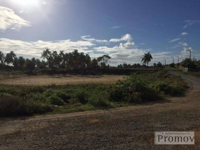 Terreno residencial à venda, Mosqueiro, Aracaju. - Foto 6