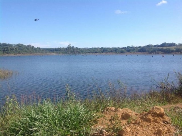 350.000.000      Fazenda 417 alqueires para lavoura em Ipameri-Go - Foto 5