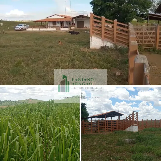 Vendo Fazenda de 385 tarefas em Dores/SE, para gado e milho. Estrutura Nova.