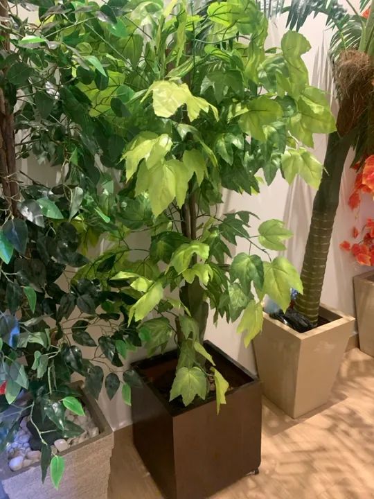 Plantas artificiais  - Foto 3