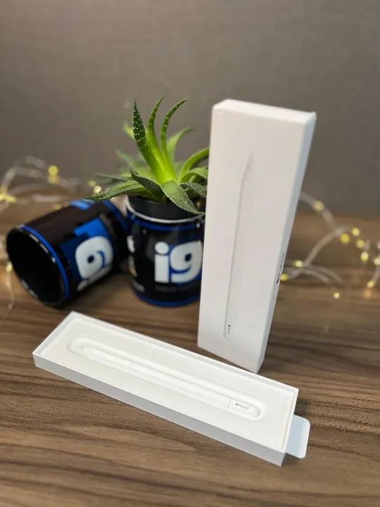 Apple Pencil (USB-C) Model A3085  Acompanha caixa   3 meses de garantia   R$600,00 - Foto 6