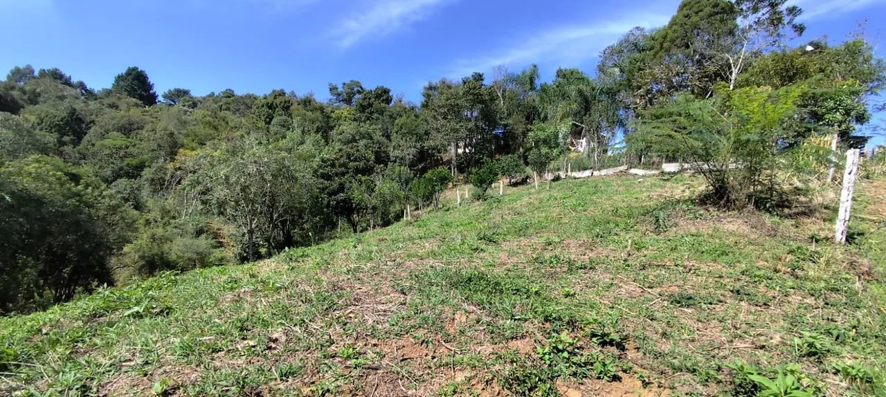 Vendo chácara formada com 2 casas - Foto 6