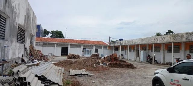 Poda de árvores,  limpeza de coqueiros e remoção do material - Foto 3