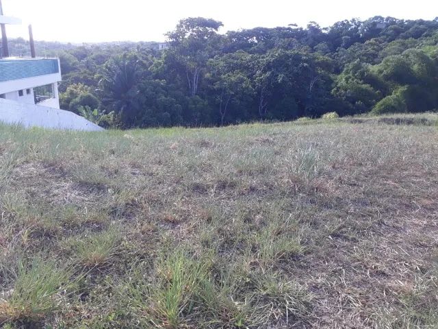 Lote Alpha LN2 com 460m - Foto 4