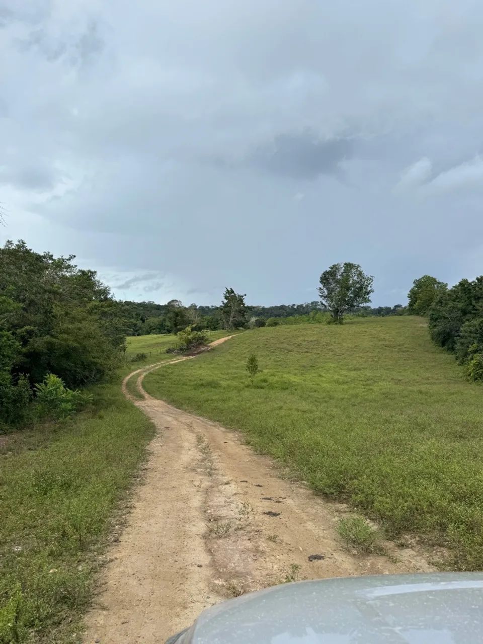 Fazenda à Venda no Porto Grande, Macapá:* - Foto 13