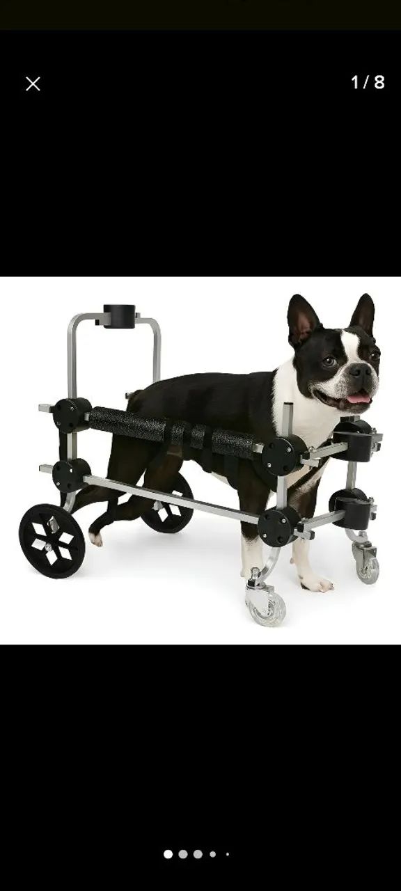 Cadeira 4 rodas, andador Canino 