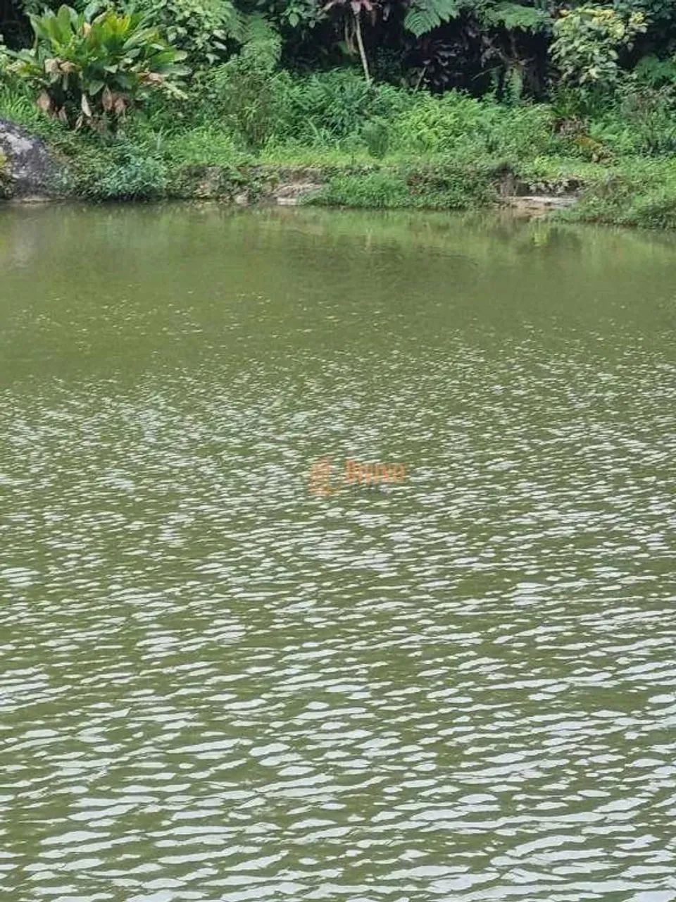 Sítio à Venda em Tapiraí - SP - Foto 5