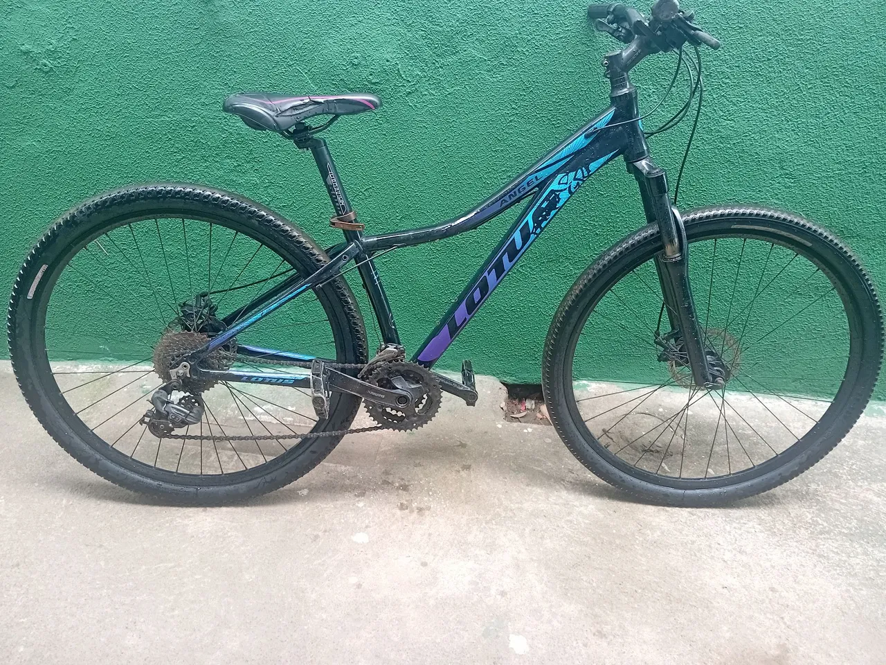 Bicicleta Lotus Angel Aro 29