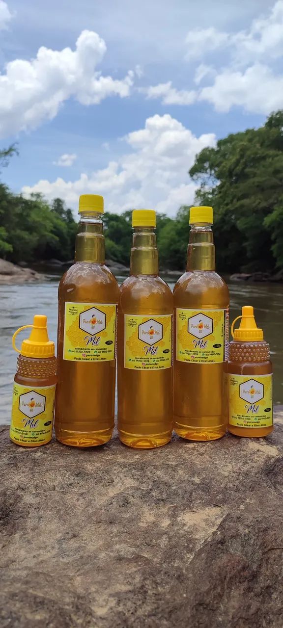 Mel da Florada Cipó Uva + Assa Peixe