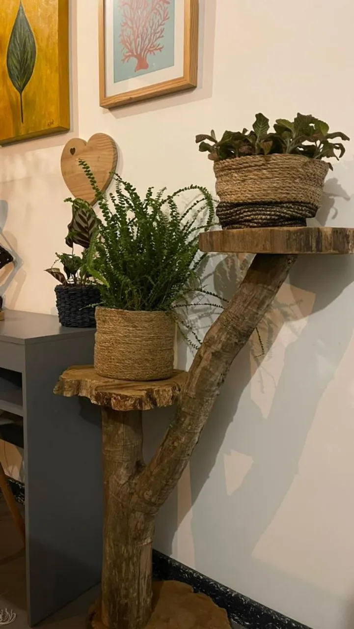 Prateleira de Madeira Rústica para Plantas