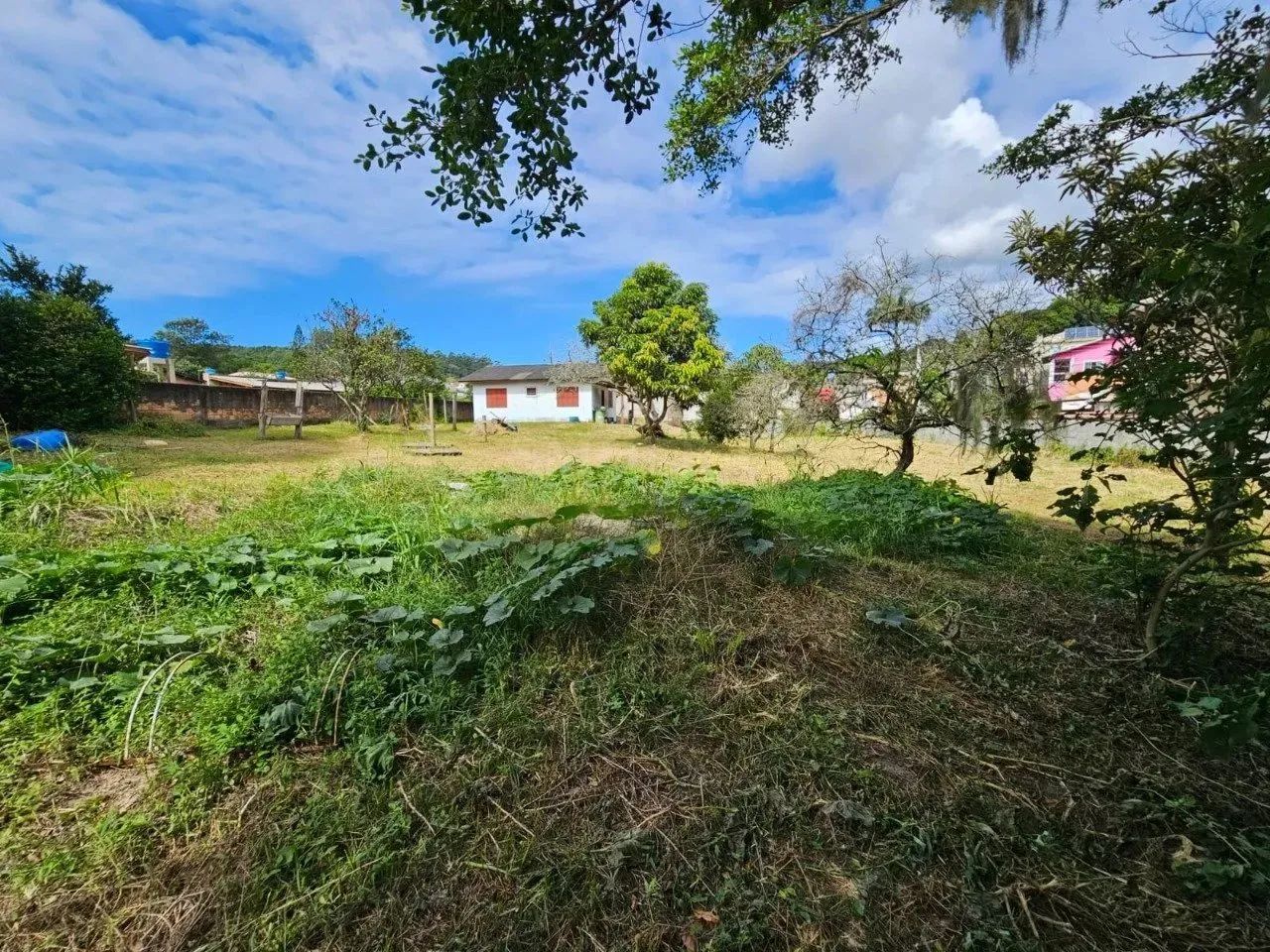 Terreno com 2.017m2 à venda na Cachoeira do Bom Jesus - Florianópolis/SC. - Foto 3