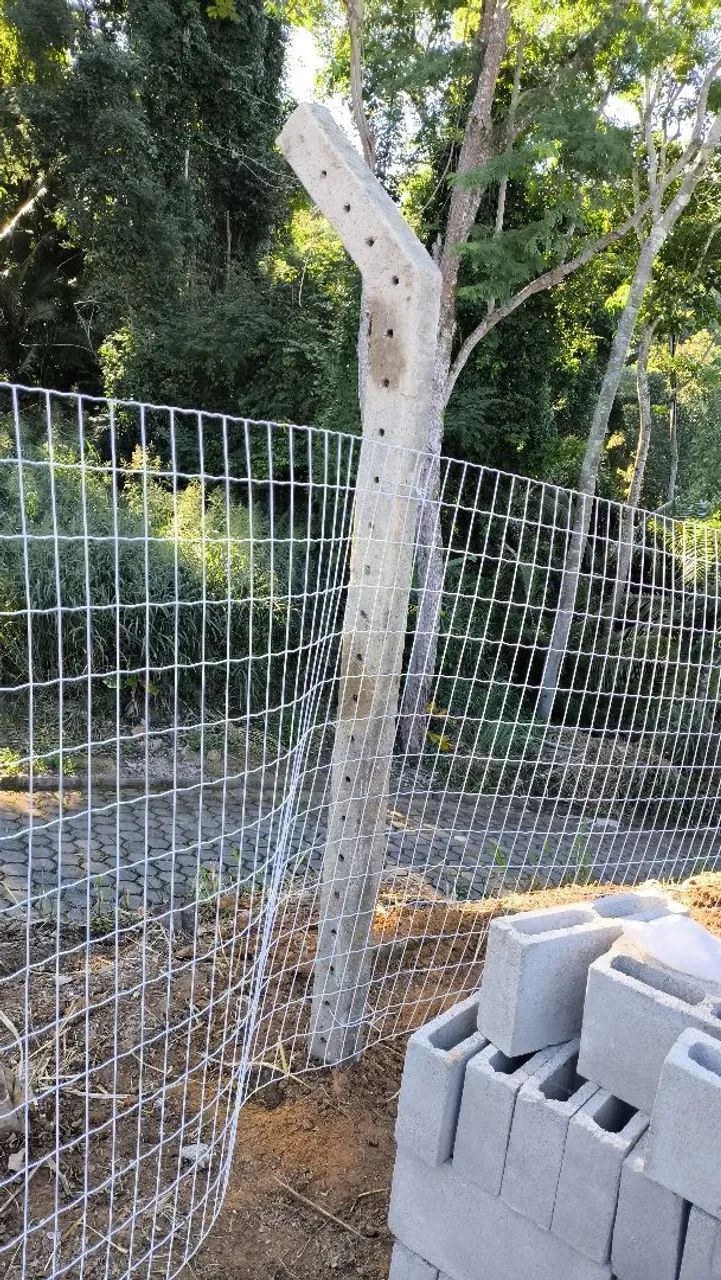 Oportunidade única! Lote de 500m² no bairro Nicolau de Vargas - Foto 2