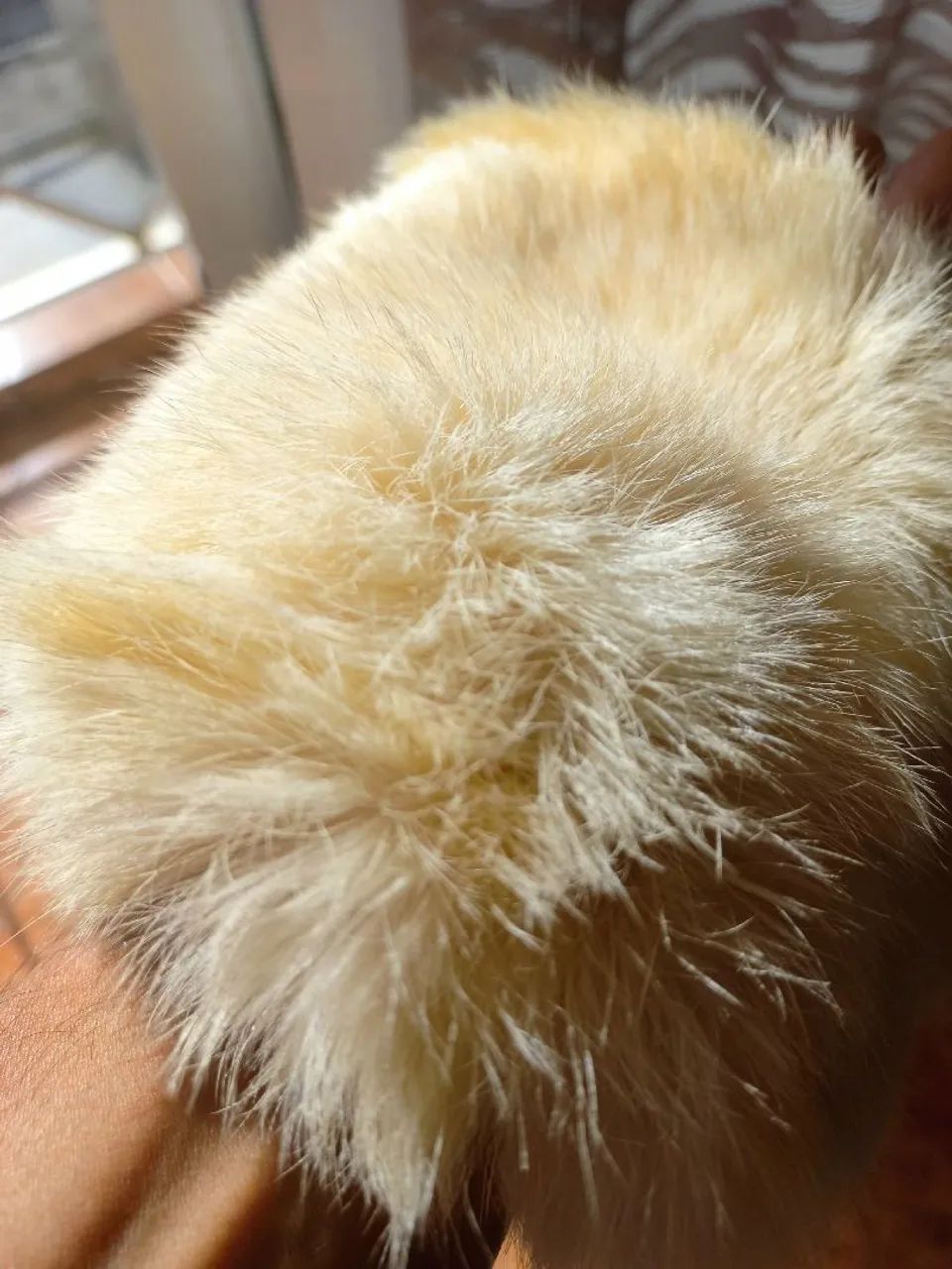 Estola de pele - Foto 5