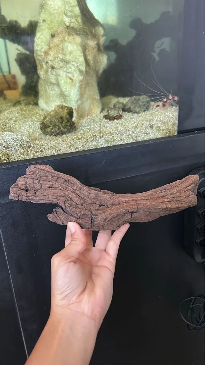 Troncos naturais para aquário 