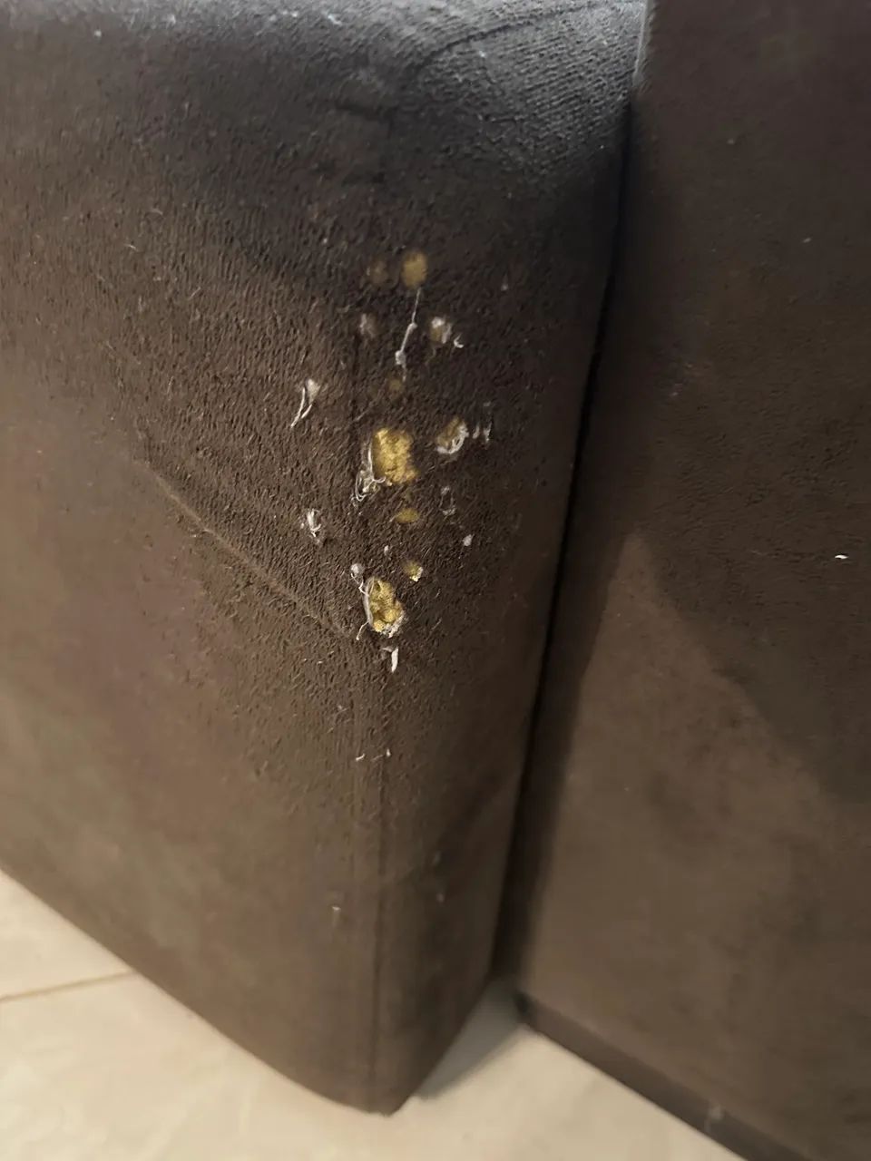 Sofá retrátil  - Foto 4