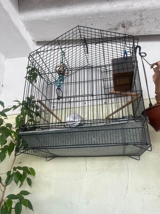 Gaiola de pássaros - Foto 2