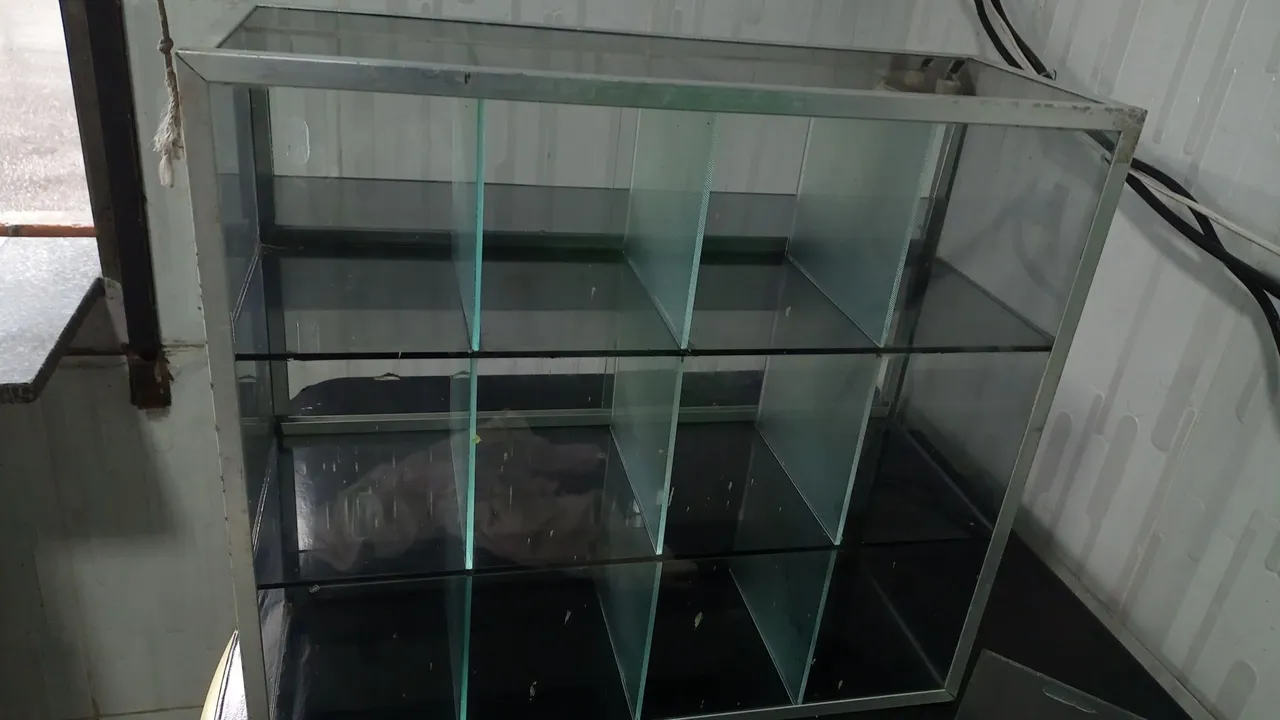 Vitrine Expositora de Vidro com Divisórias