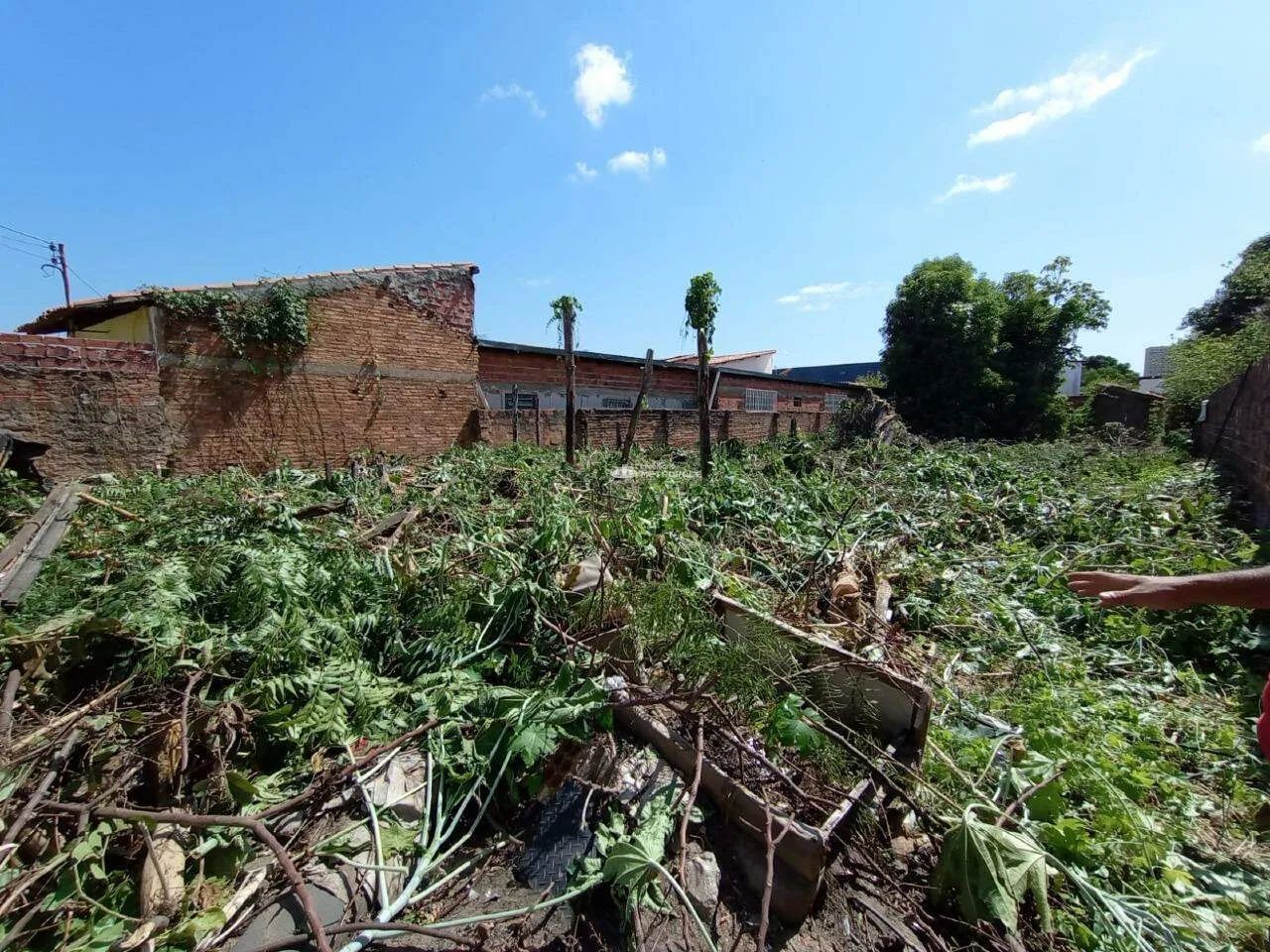 R. CLÓVIS BEVILÁQUA - BAIRRO; PIÇARRA - Foto 3