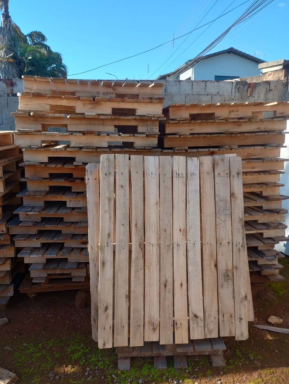 Paletes de madeira  - Foto 3