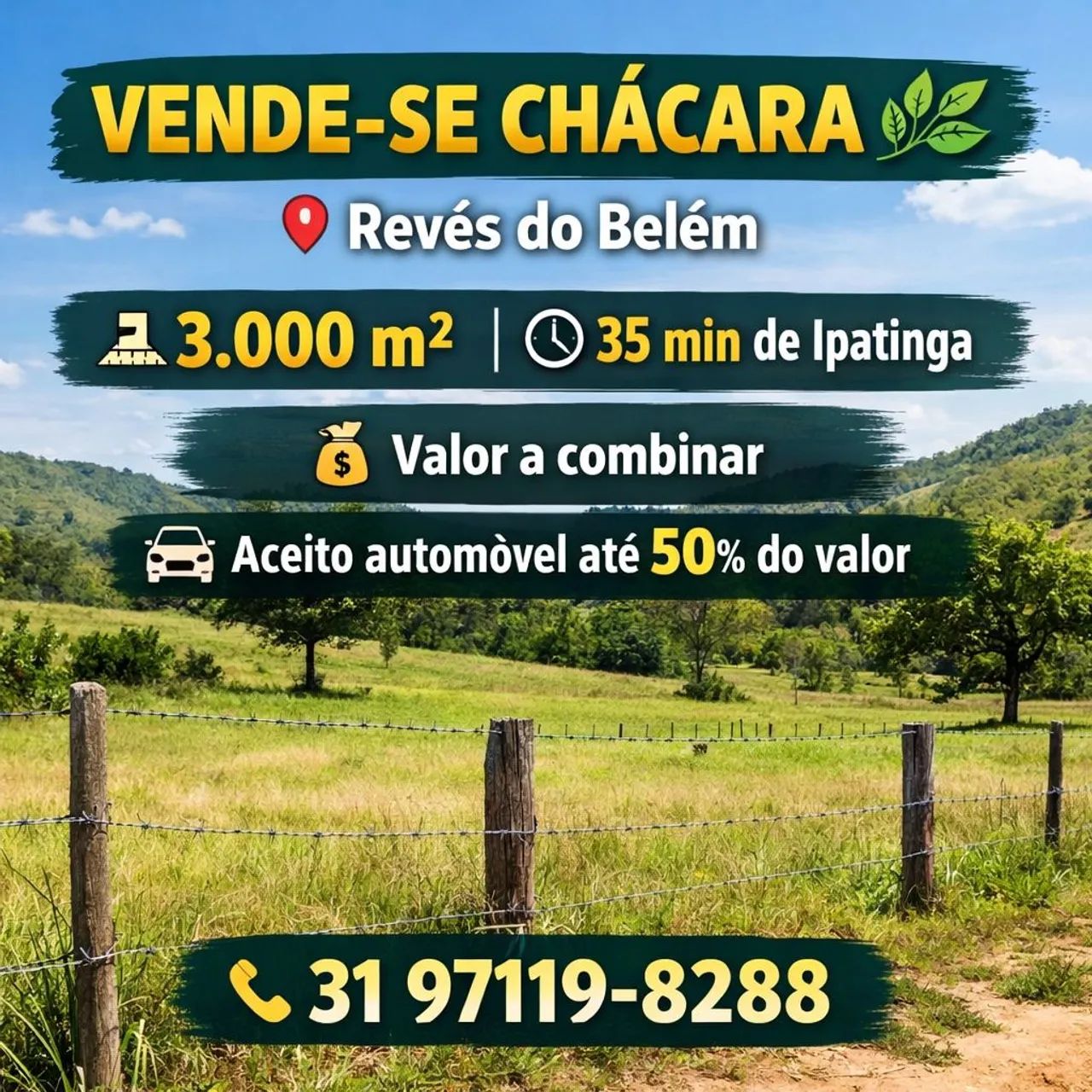 Foto - Bom Jesus do Galho - 