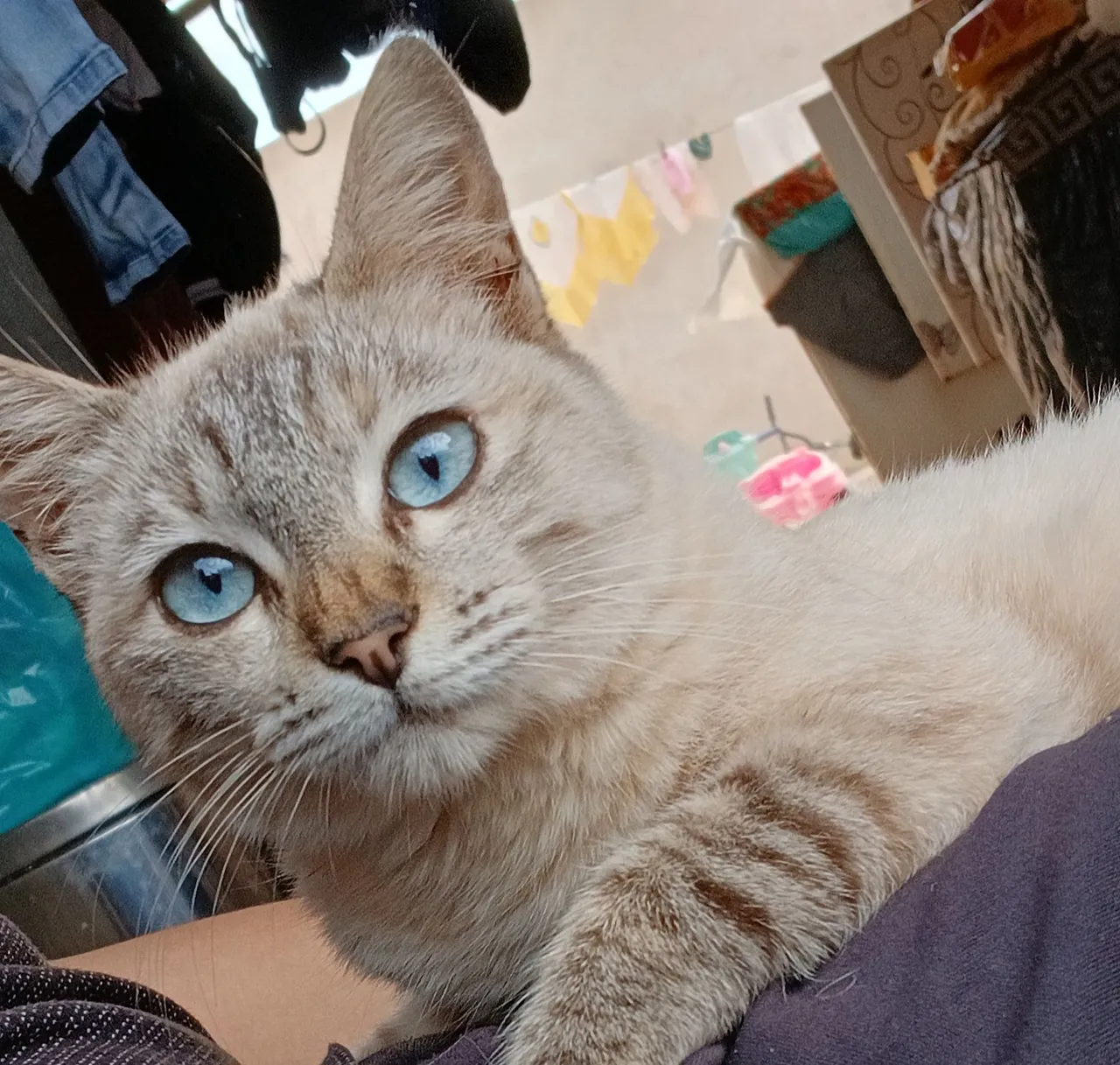 Minu